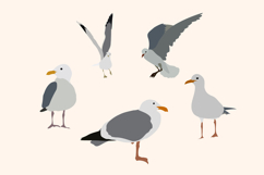 Seagull Clipart Set, Minimalist Coastal Birds Illustration. Product Image 2