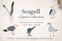 Seagull Clipart Set, Minimalist Coastal Birds Illustration. Product Image 1