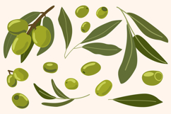 Olive Branch Clipart Set, Mediterranean Olive Product Image 5
