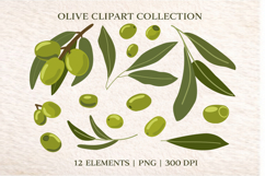 Olive Branch Clipart Set, Mediterranean Olive Product Image 2