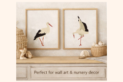 Elegant Stork Illustration Bundle | Nature Birds Vector Art Product Image 5