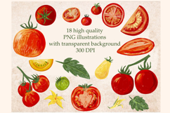 Tomato Clipart Set, Crayon Texture Vegetable Illustration Product Image 2