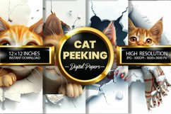 Cat Peeking Digital Papers - 04 Variations Product Image 1