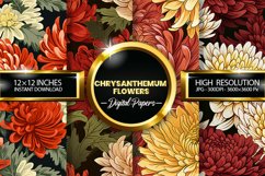 Chrysanthemum Flowers Digital Papers - 04 Variations Product Image 1