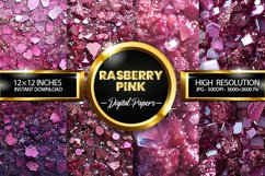Rasberry Pink Digital Papers - 04 variations Product Image 1