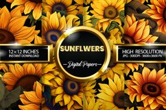 Sunflwers Digital Papers - 04 Variations Product Image 1