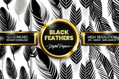 Black Feathers Digital Papers - 04 Variations Product Image 1