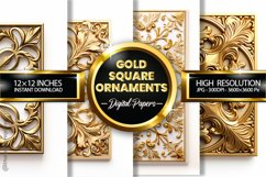 Gold Square Ornaments Digital Papers - 04 Variations Product Image 1