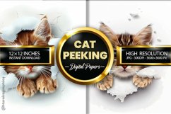 Cat Peeking Digital Papers - 02 Variations Product Image 2