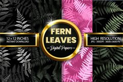 Fern Leaves Digital Papers - 04 Variations Product Image 2