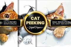 Cat Peeking Digital Papers - 03 Variations Product Image 1