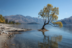 Tree with Mountains Background Wallpaper Product Image 1