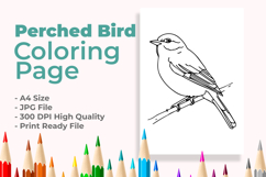 Perched Bird Coloring Page Product Image 1
