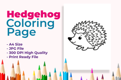 Hedgehog Coloring Page Product Image 1