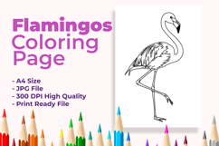 Flamingos Coloring Page Product Image 1