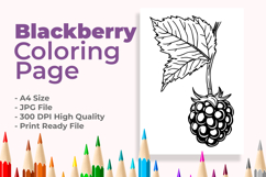 Blackberry Coloring Page Product Image 1