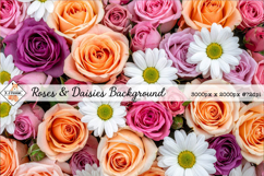 Roses &amp; Daisies Background jpg | Flower Photos Product Image 1