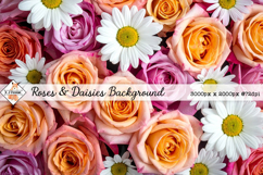 Roses &amp; Daisies Background jpg | Flower Photos Product Image 1