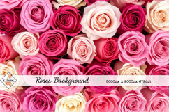 Roses Background jpg | Flower Photos Product Image 1