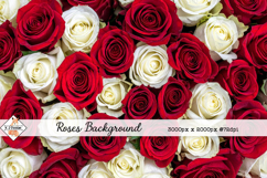 Roses Background jpg | Flower Photos Product Image 1