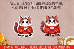 Funny cat celebrates Christmas.Stickers and Sublimation PNG. Product Image 2