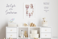 Watercolor Seahorse Life Cycle Set Bundle Product Image 2