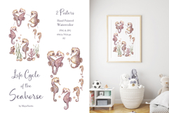 Watercolor Seahorse Life Cycle Set Bundle Product Image 3