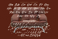 Prime Joyful - Brush Calligraphy Script Product Image 18