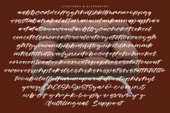 Prime Joyful - Brush Calligraphy Script Product Image 19
