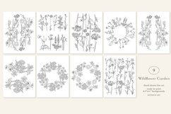 Line Art Wildflower Clipart Collection Sketched Botanicals Product Image 8