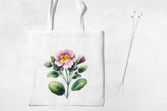 Birth Month Flowers Clipart, February Primrose PNG. Product Image 3