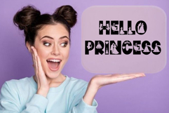Princess Product Image 4