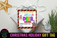 PRINTABLE CHRISTMAS HOLIDAY GIFT TAGS FOR STUDENTS AND TEACHERS