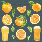 Watercolor Oranges Collection Product Image 3