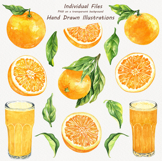 Watercolor Oranges Collection Product Image 2