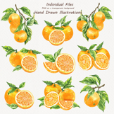 Watercolor Oranges Collection Product Image 4