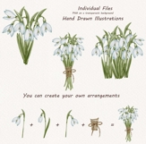 Watercolor Snowdrops Clipart Product Image 4