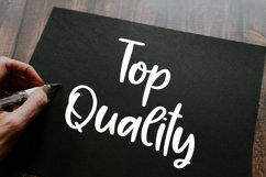 The Flamingo Product Image 4