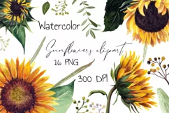 Watercolor sunflower png clipart. Product Image 1