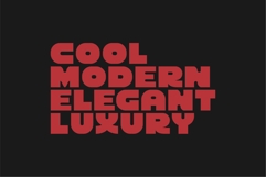 Pro Bold - Sans Serif Bold Font Product Image 2