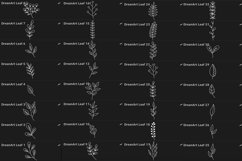 procreate brushes