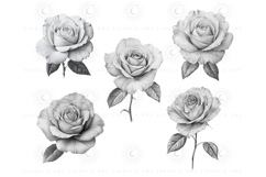 Elegant Procreate rose stamp brush set for digital artists, hand-drawn floral brushes perfect for tattoo designs, wedding invites, digital illustrations. Easy to use rose stamps for Procreate to create stunning botanical art with one tap