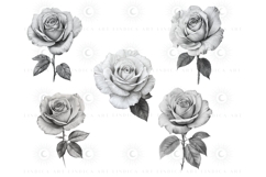 Elegant Procreate rose stamp brush set for digital artists, hand-drawn floral brushes perfect for tattoo designs, wedding invites, digital illustrations. Easy to use rose stamps for Procreate to create stunning botanical art with one tap