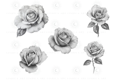 Elegant Procreate rose stamp brush set for digital artists, hand-drawn floral brushes perfect for tattoo designs, wedding invites, digital illustrations. Easy to use rose stamps for Procreate to create stunning botanical art with one tap