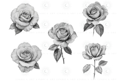 Elegant Procreate rose stamp brush set for digital artists, hand-drawn floral brushes perfect for tattoo designs, wedding invites, digital illustrations. Easy to use rose stamps for Procreate to create stunning botanical art with one tap
