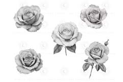 Elegant Procreate rose stamp brush set for digital artists, hand-drawn floral brushes perfect for tattoo designs, wedding invites, digital illustrations. Easy to use rose stamps for Procreate to create stunning botanical art with one tap