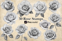 Elegant Procreate rose stamp brush set for digital artists, hand-drawn floral brushes perfect for tattoo designs, wedding invites, digital illustrations. Easy to use rose stamps for Procreate to create stunning botanical art with one tap