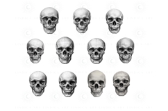 Procreate skull stamp brush set — 70+ detailed skull brushes for tattoos, dark art, and gothic designs. Perfect for digital artists creating edgy, horror, or Halloween artwork