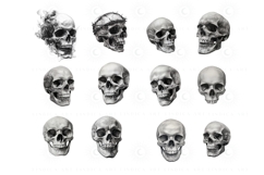 Procreate skull brushes — detailed skull stamp set for tattoo artists, illustrators, and horror art lovers. Create dark, grunge, and Halloween designs fast and easy