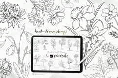 Procreate Stamp Brushes 12 birth month flowers botanical 002 Product Image 1
